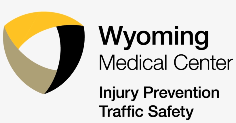 Wmc Injury Prevention Traffic Safety - Shelter Charity, transparent png #8164617