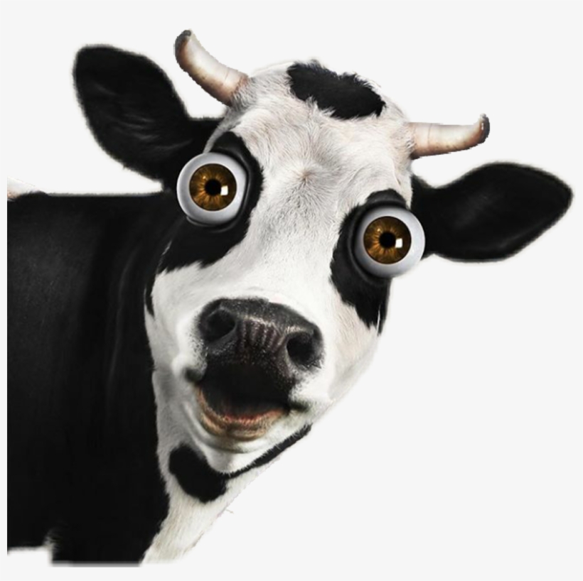 Cow Sticker - Cow Welcome, transparent png #8164866