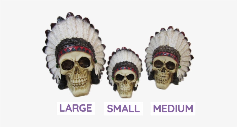 American Indian Skull Decoration Model Grim Feathers - Skull, transparent png #8164901