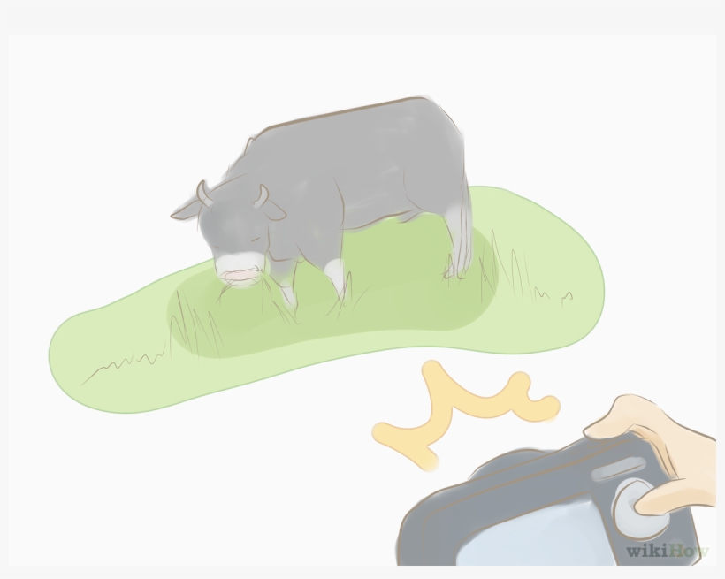 Dairy Cow, transparent png #8164934
