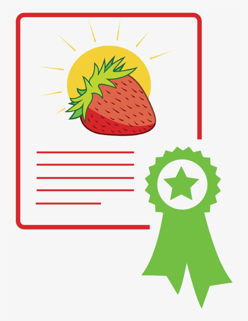 Warranty-01 - Transparent Blue Ribbon Vector, transparent png #8167621