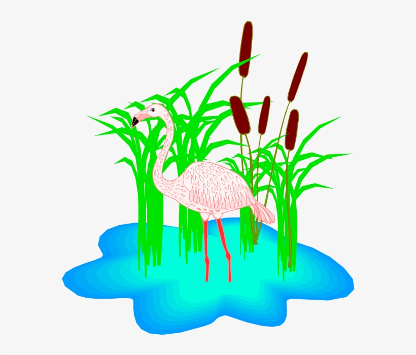 Flamingo Clipart - Clip Art - Free Transparent PNG Download - PNGkey