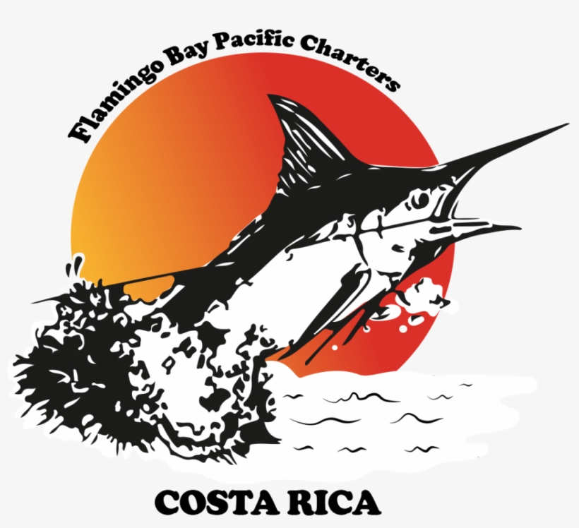 Atlantic Blue Marlin, transparent png #8169701