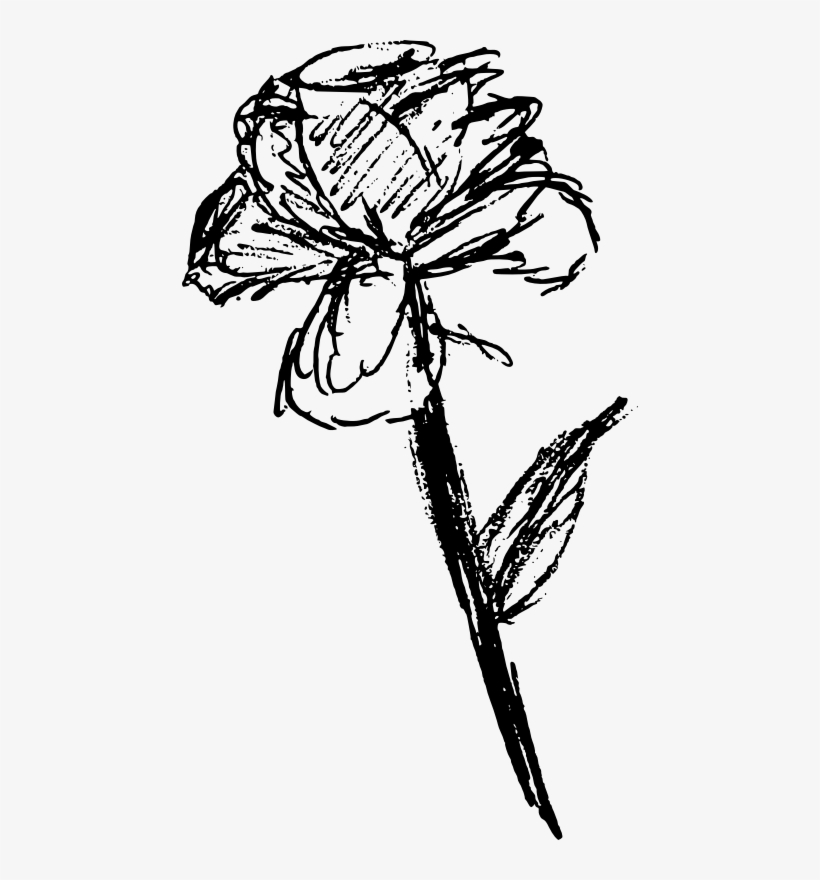 This Png File Is About Line Art , Nature , Flower , - All Clipart Art Black And White For Windows 98, transparent png #8169954