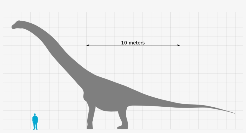 Description[edit] - Puertasaurus, transparent png #8170201