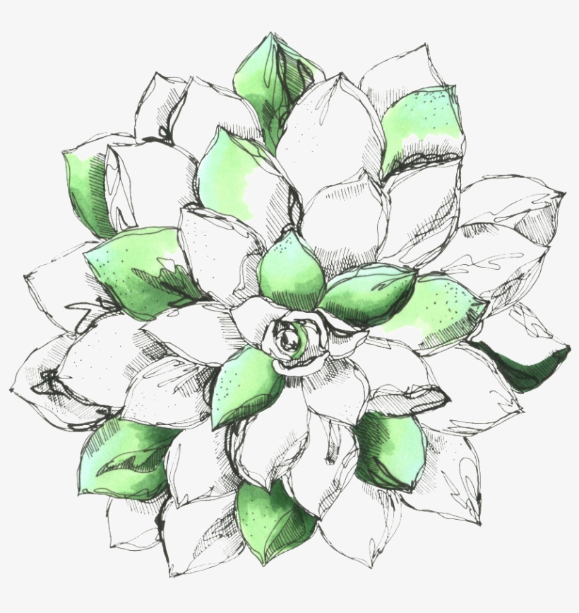 Hand Drawn Flower - Sacred Lotus, transparent png #8170216