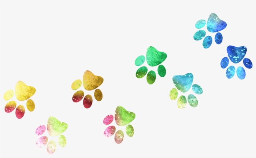 Arco Iris Sweet Lime Fizz - Floral Design, transparent png #8170673