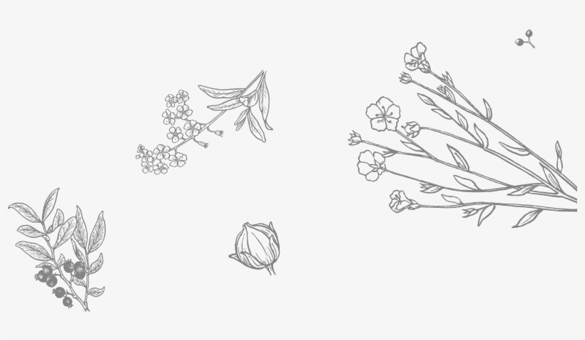 Every Day 2 Pm - Sketch, transparent png #8171072