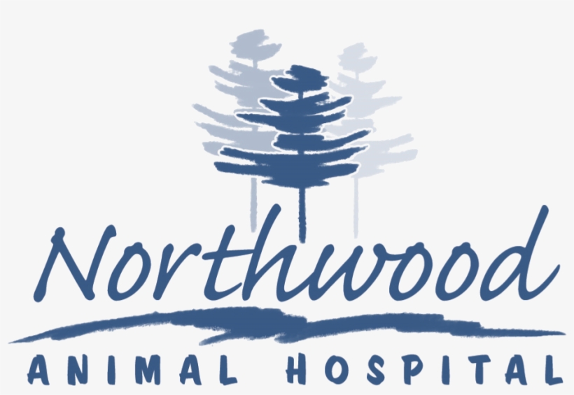 Thank You 2018 Tails To Trails Sponsors - Colorado Spruce, transparent png #8171498