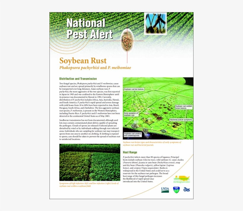 Flyer, transparent png #8172869