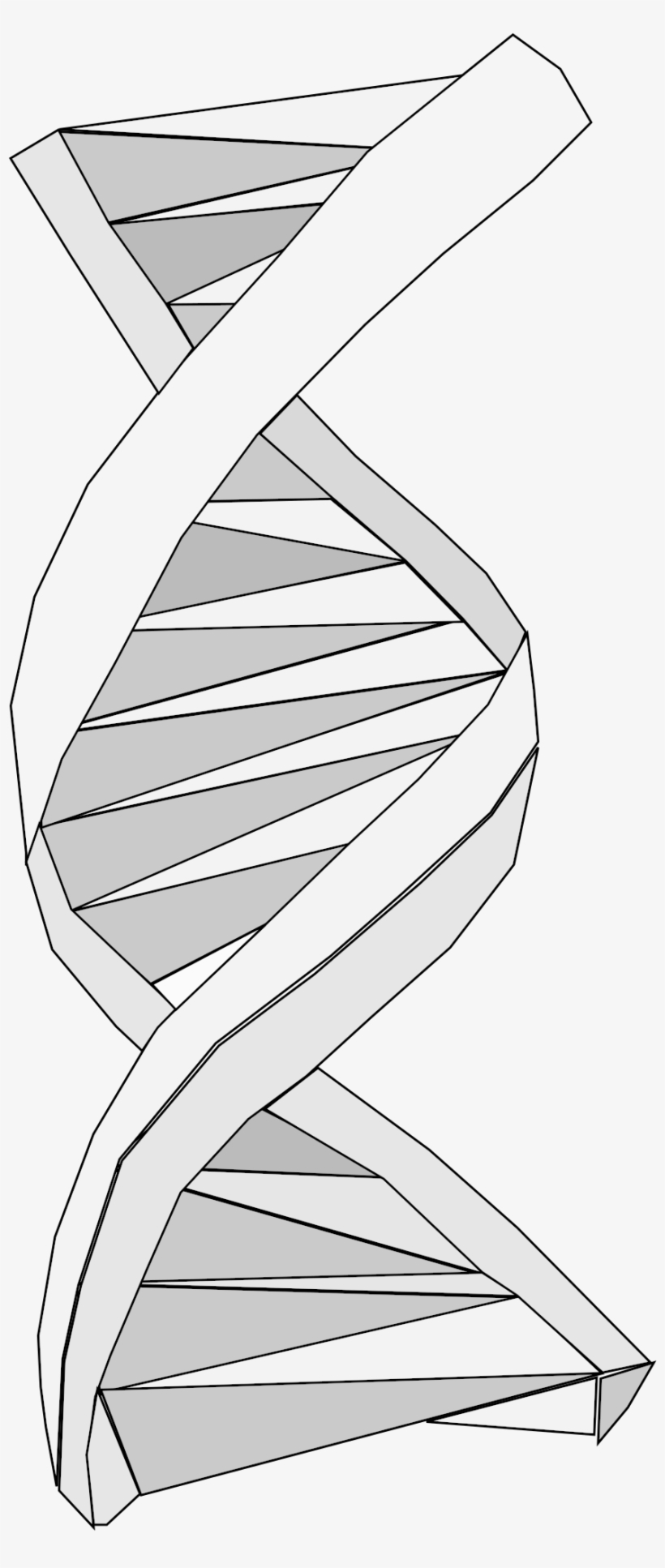 This Free Icons Png Design Of Dna Origami, transparent png #8173328