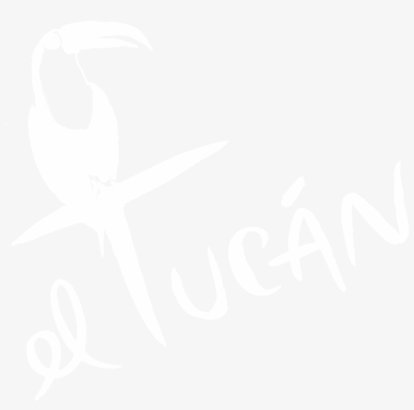 Marionmiamilogo Eltucanmiami Eltucanmiami - Toucan, transparent png #8173493