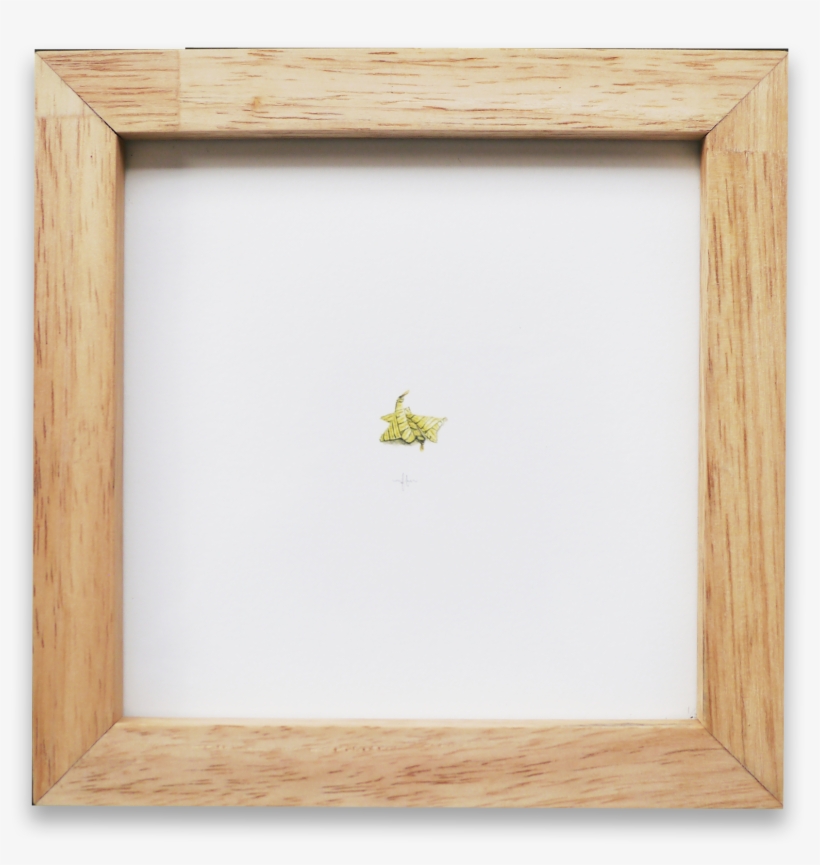 Ketupat Palas - Picture Frame, transparent png #8174127