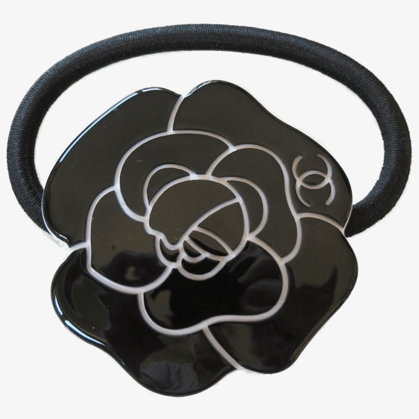 Tagetes Patula, transparent png #8174369