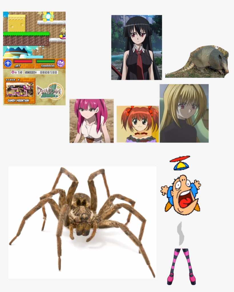 Poppy Bros Jr Explode By Spider 20151119, transparent png #8174410