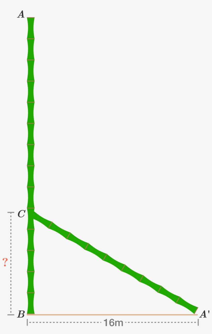 Bamboo Stick Was Broken By The Wind, Such That The - Plot, transparent png #8176034