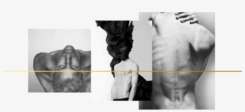 The Fifth Letter From The Jungles Of Peru / Catured - Nicolas Ripoll, transparent png #8176114