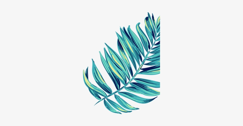 Hoja Port 01 - Illustration, transparent png #8176751