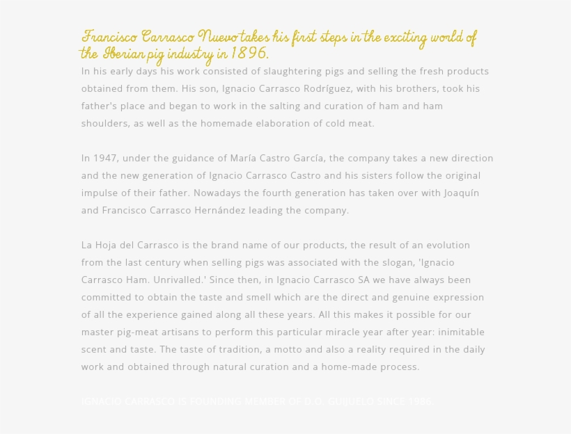 Francisco Carrasco Nuevo Takes His First Steps In The - Document, transparent png #8176841