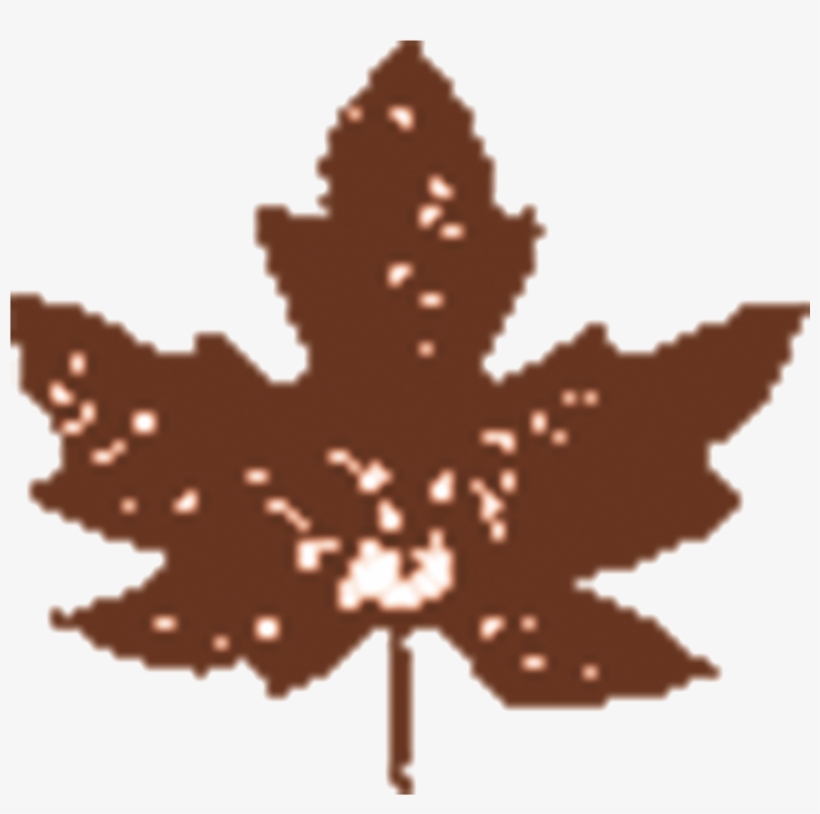 Hoja - Maple Leaf, transparent png #8177140