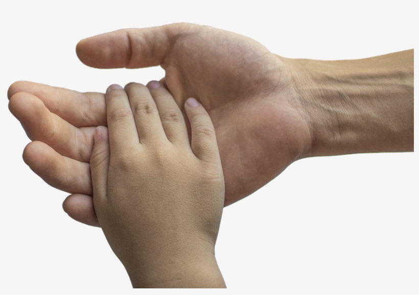Hands Adult And Child Family Love Child Adult - Maos De Criança, transparent png #8177274