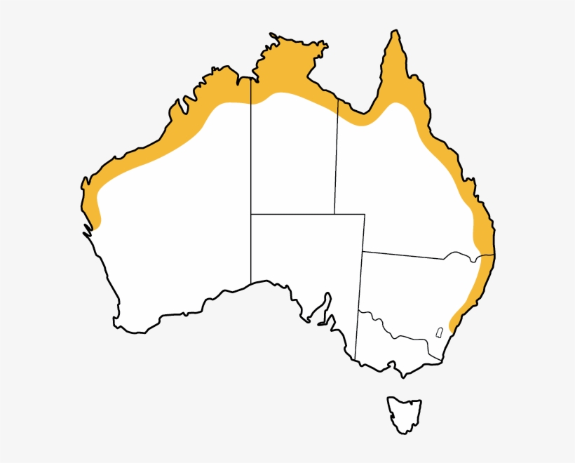 Map Black Flying-fox - Arnhem Land Australia Map, transparent png #8178027