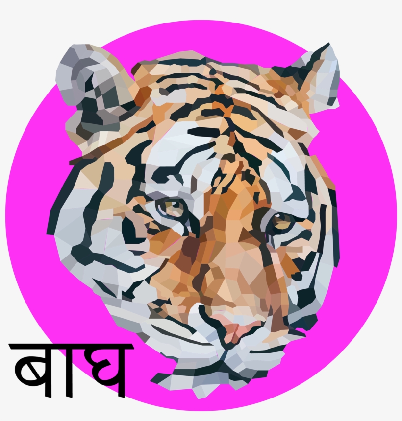 Save To Collection - Illustration, transparent png #8178969