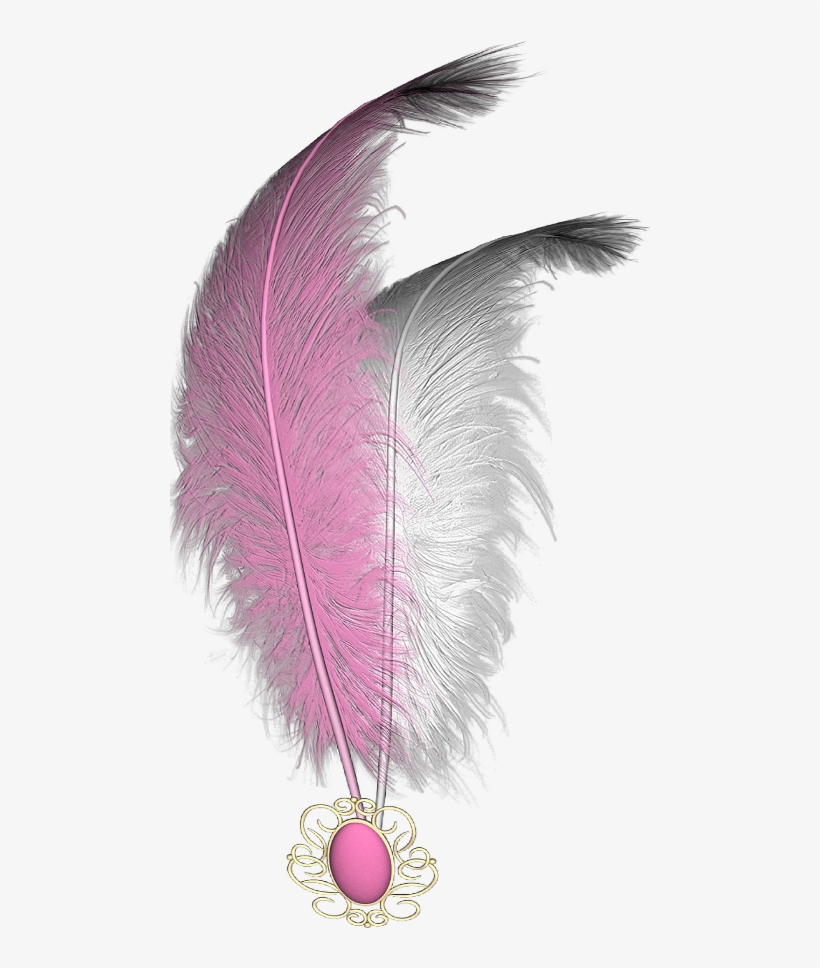 Mq Sticker - Feather, transparent png #8179213