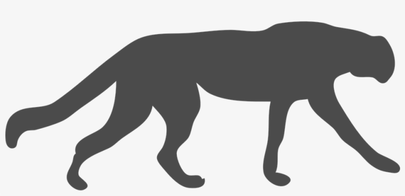Wildcat Clipart Cougar - Black Outline Of Animals, transparent png #8179272