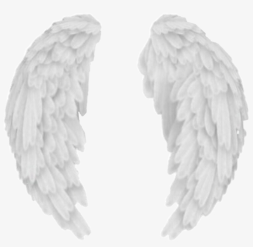 Wings Sticker - Angel Wings, transparent png #8179773