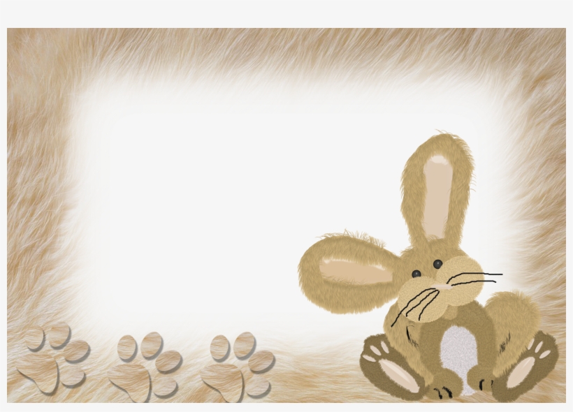 Domestic Rabbit, transparent png #8180074