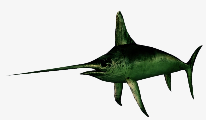 Swordfish, transparent png #8183185