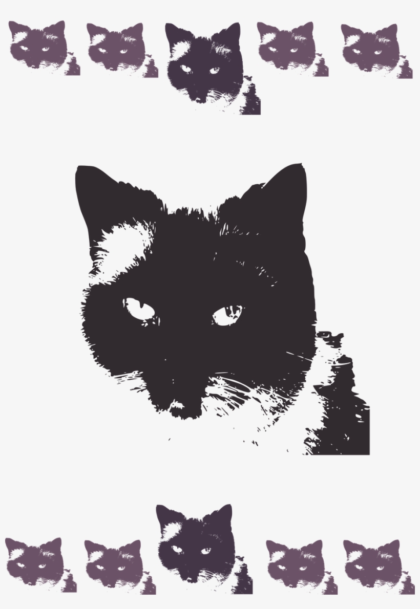 Pictures - Design, transparent png #8183286