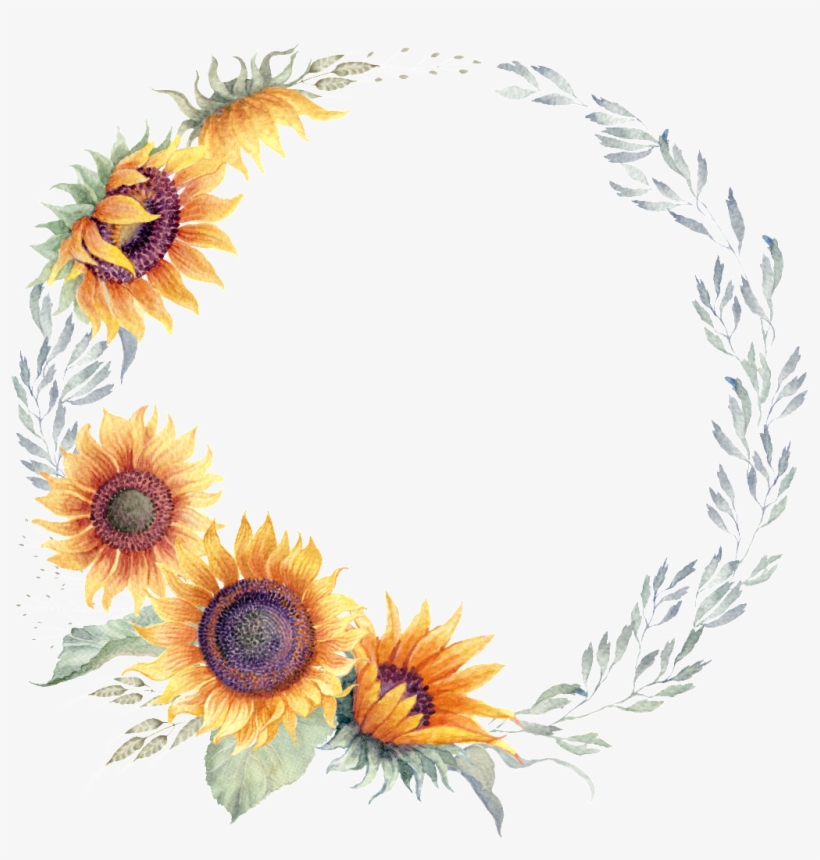 Sunflower, transparent png #8183836