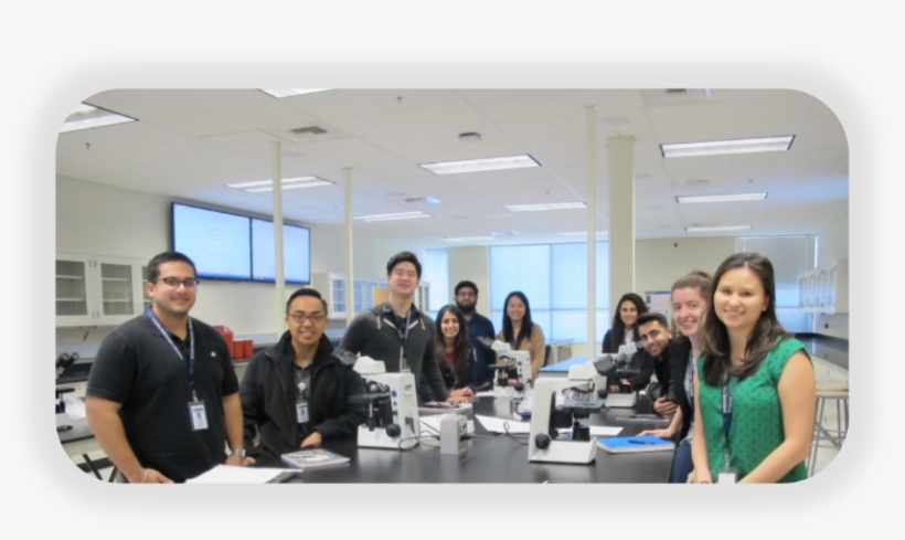 Post Bacc Pre Med Programs With Linkage - Management, transparent png #8183852