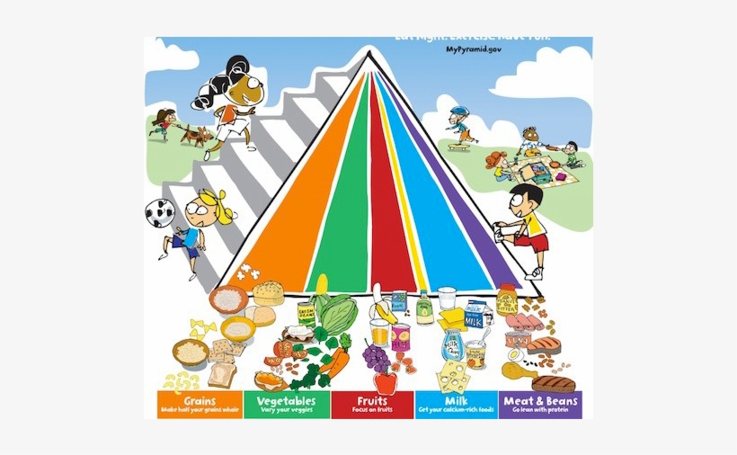 How Money Changed The Food Pyramid And Your Health - Mypyramid For Kids, transparent png #8183911