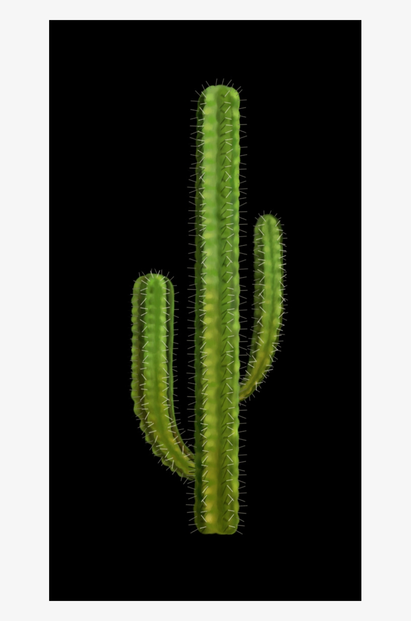 All Our Pngs Are Free To Download And Use - Acanthocereus Tetragonus, transparent png #8184093
