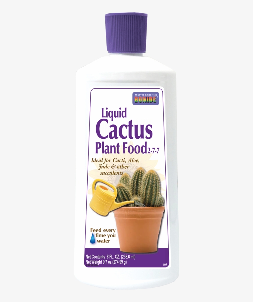 Cactus Food - Cactus, transparent png #8184874