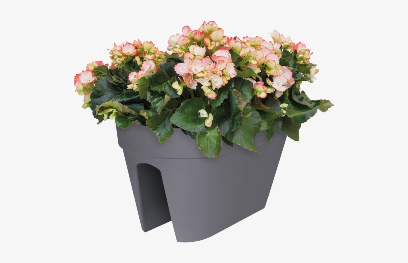 Home > Collection > Loft Urban Flower Bridge - Flowerpot, transparent png #8184881