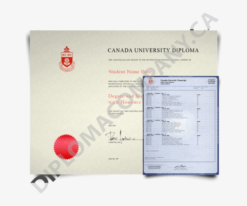 Fake Canada College Diploma And Transcripts, Fake Canada - Canada College Diploma, transparent png #8186472