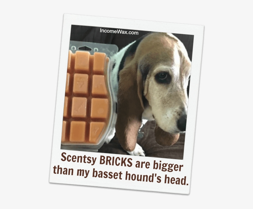 How Many Bars In A Scentsy Brick - Bill Gates Quotes, transparent png #8189006