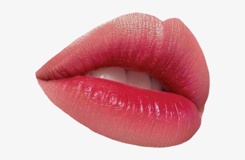 Png Transparent Lip Transparent Lip Png Lips - Lip Gloss, transparent png #8192740