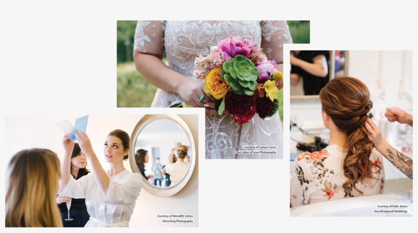 Without - Garden Roses, transparent png #8193431