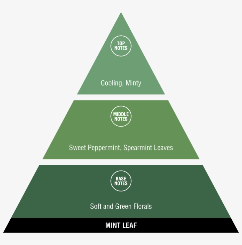 Fragrance Pyramid, transparent png #8193528