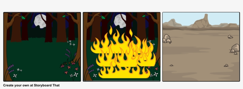 Primary Vs Secondary Succession Part - Illustration, transparent png #8193804