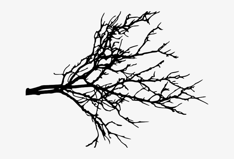 Branch Clipart Tree Bark - Tree Branch Silhouette Png, transparent png #8194430