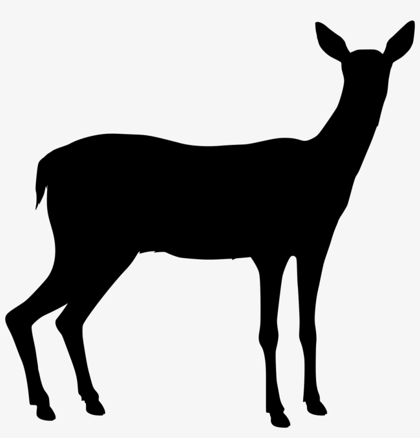 Download Png - Deer, transparent png #8195178