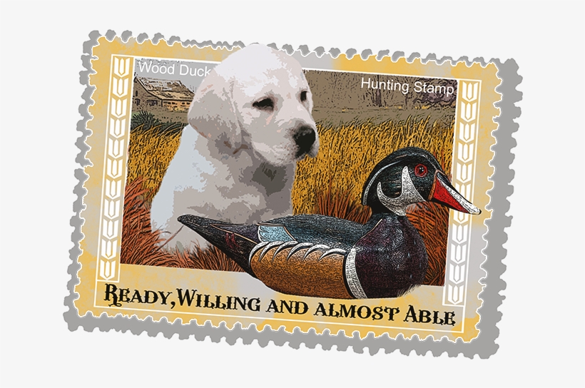 Postage Stamp, transparent png #8196279