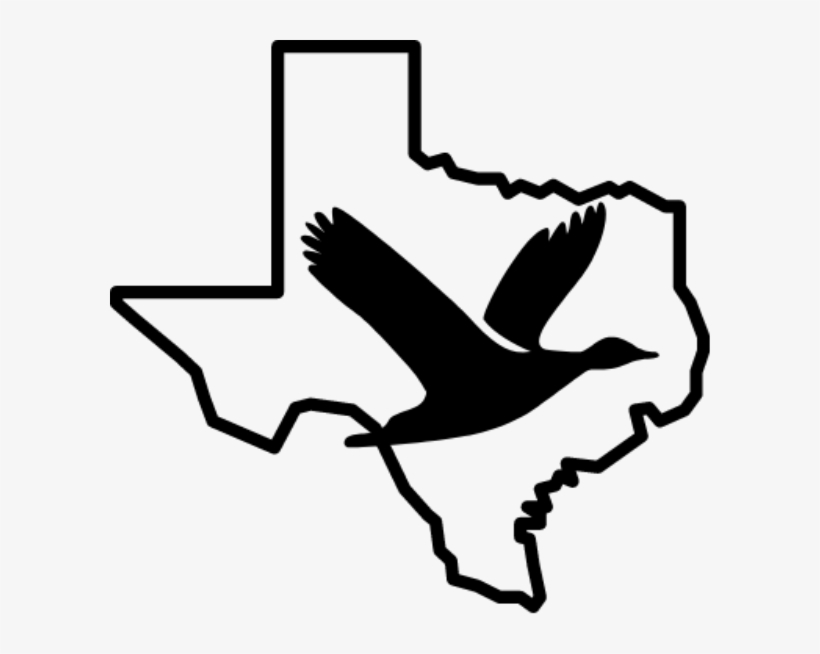 Duck Hunts - Icons San Antonio, transparent png #8196541