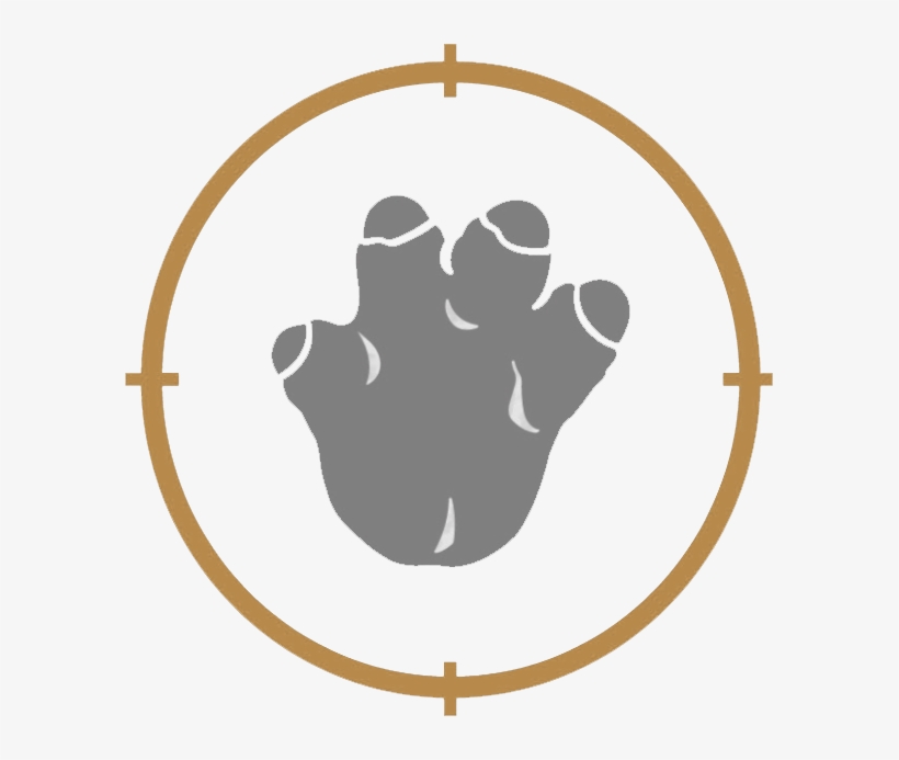 Stegosaurus - Brachiosaurus, transparent png #8196818